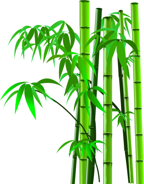 Бамбук вектор
