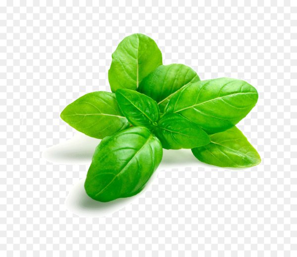 Зелень базилика Sok