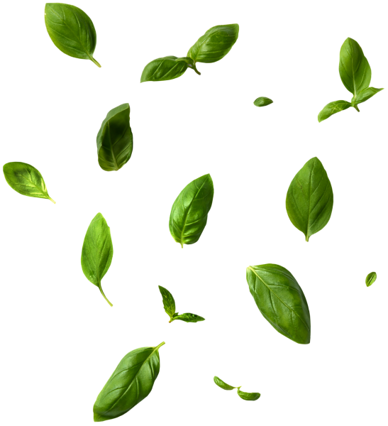 Зелень сверху