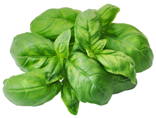 Базилик (50 гр)