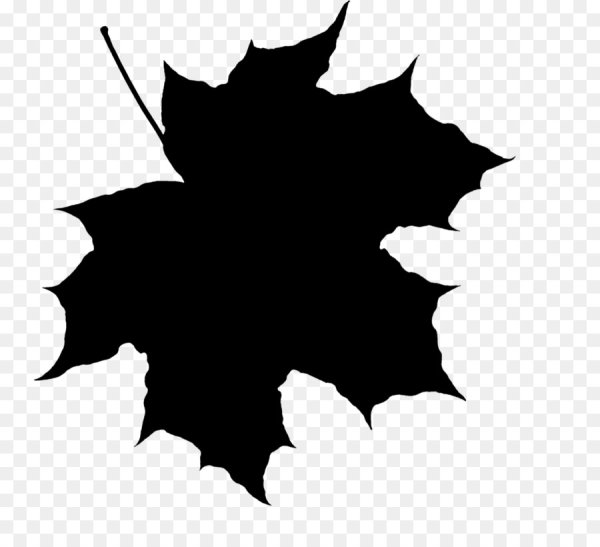 Лист клена черно белый