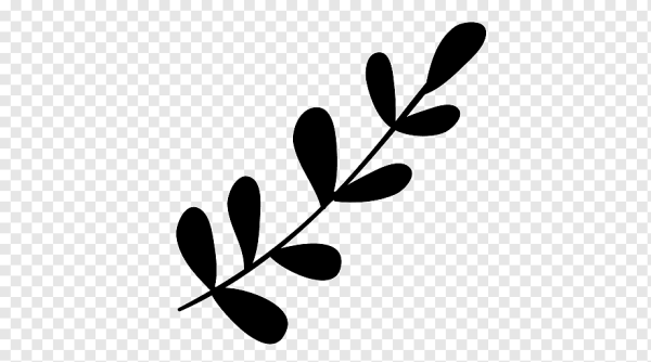 Ветка с листьями