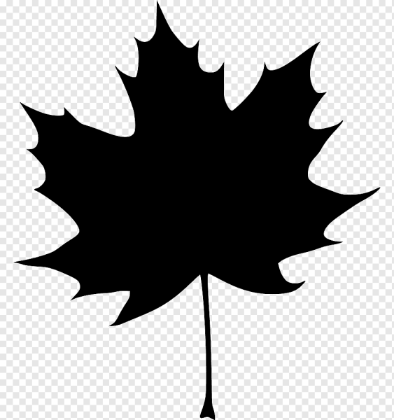 Силуэт кленовых листьев