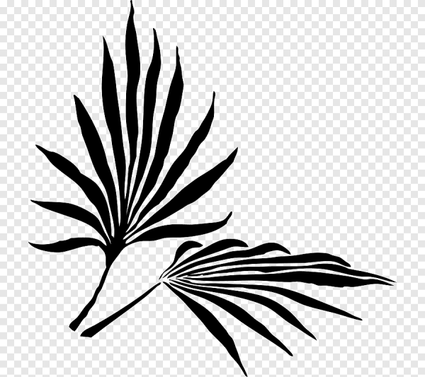 Лист пальмы СВГ