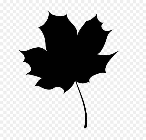 Силуэт осенних листьев