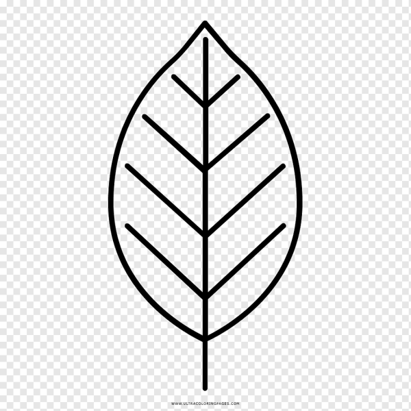 Листик черно белый