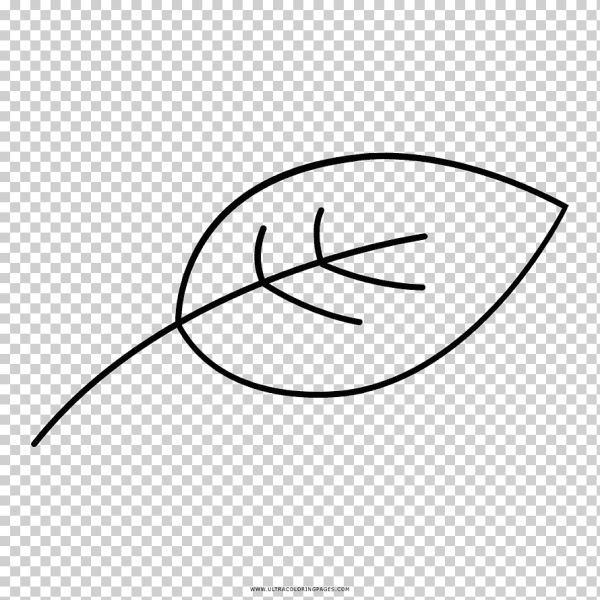 Очертания листочка