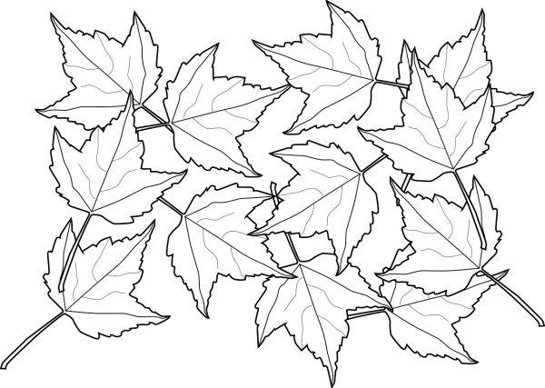 Листья рисунок
