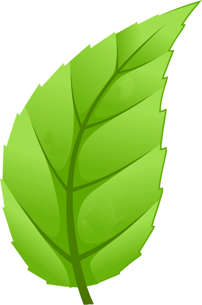 Листик рисунок