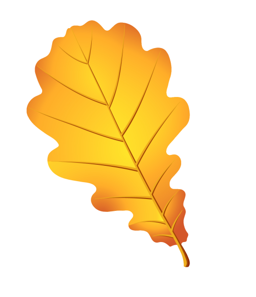 Осенний дубовый лист