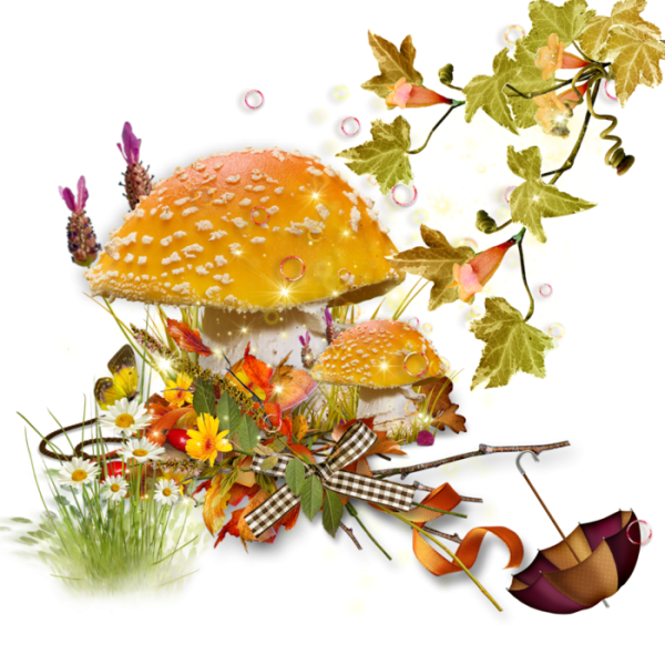 Осень на прозрачном фоне