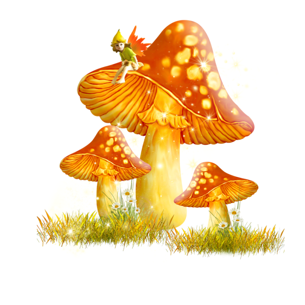 Сказочные грибы на прозрачном фоне