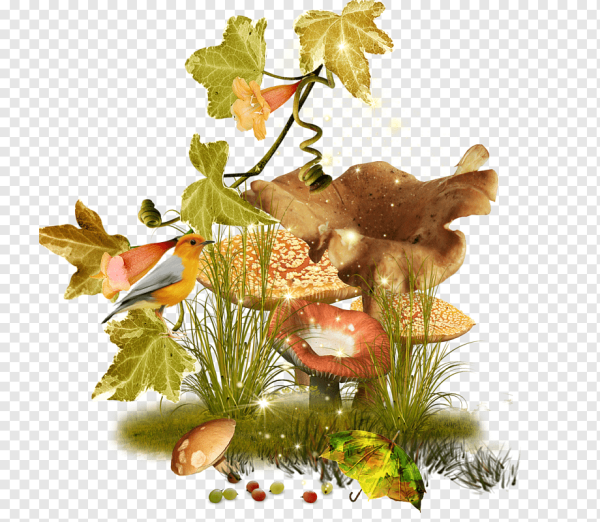 Осенние грибы на прозрачном фоне