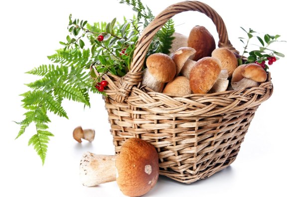 Корзинка с грибами