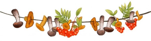 Грибы на веревочке