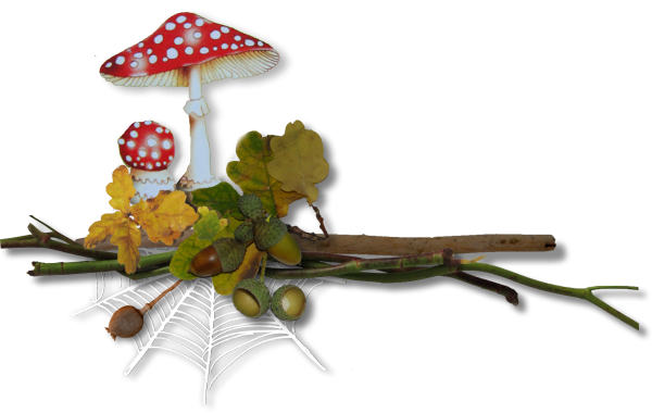 Осенние грибы на прозрачном фоне