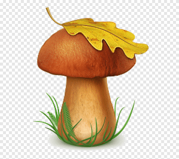 Гриб Боровик для детей