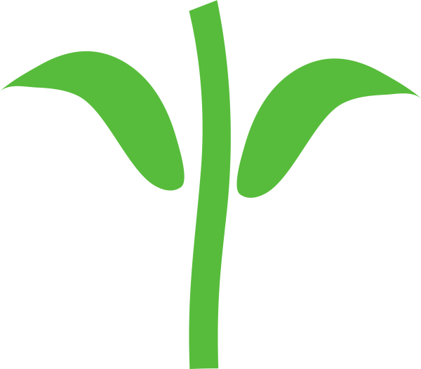 Цветок без стебля