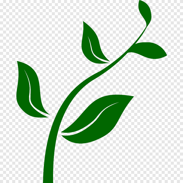 Стебель цветка