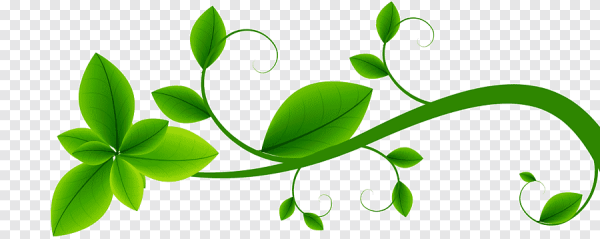 Зеленые цветы на прозрачном фоне