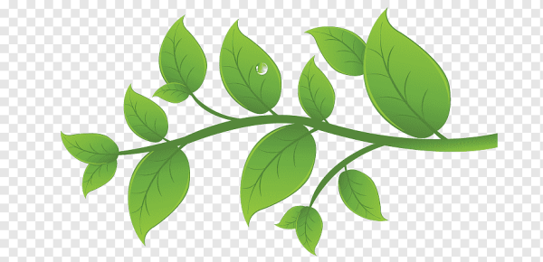 Стебель вектор