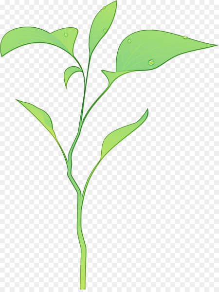 Стебель с листьями