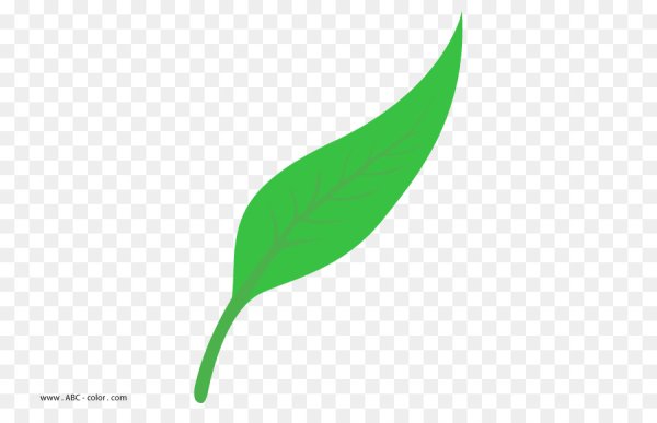 Листик от цветка