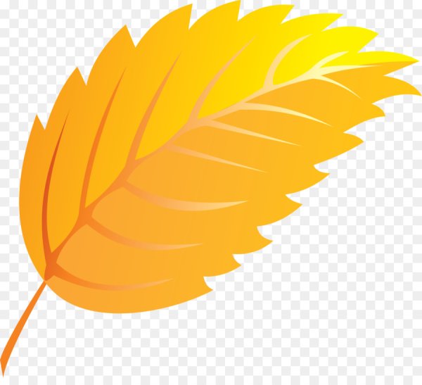 Листья мультяшные