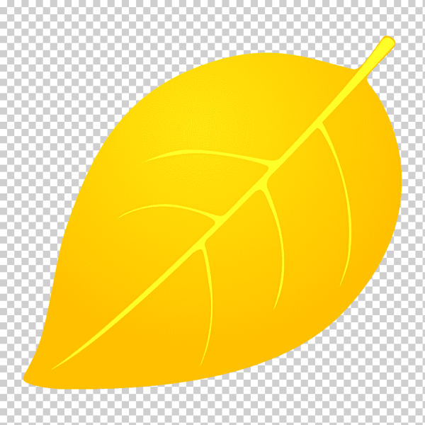 Желтые листья яблони