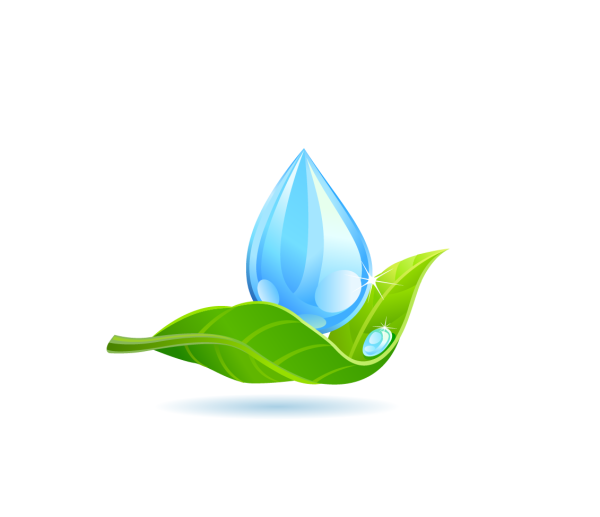 Капелька воды на листочке