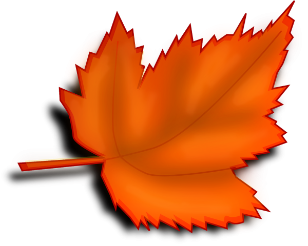 Осенние листочки