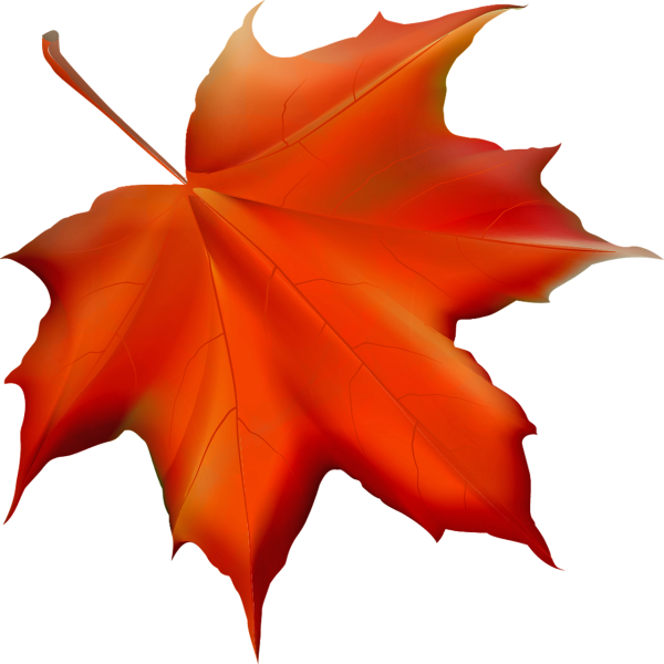 Осенние листики на прозрачном фоне