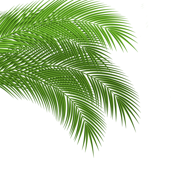 Веточка пальмы