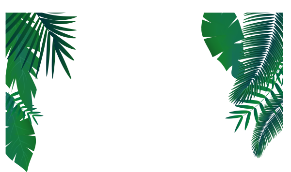 Ветка пальмы