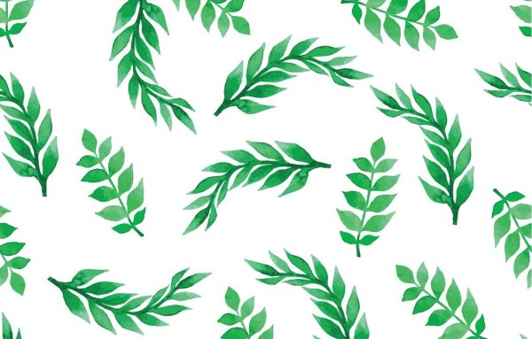 Орнамент листья