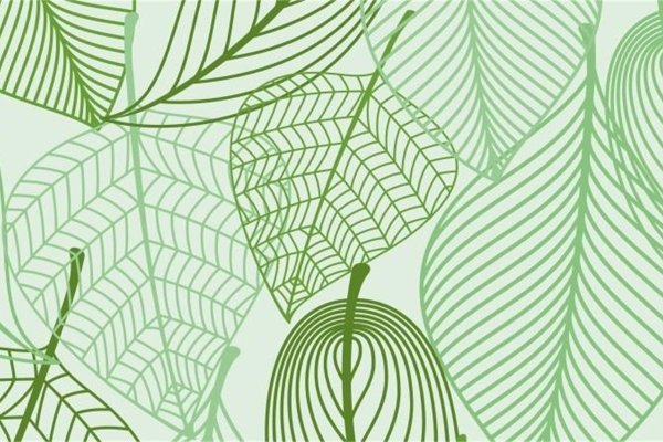 Паттерн листики