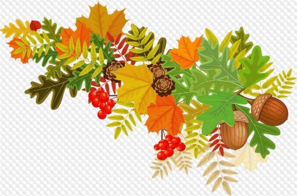 Осень клипарт