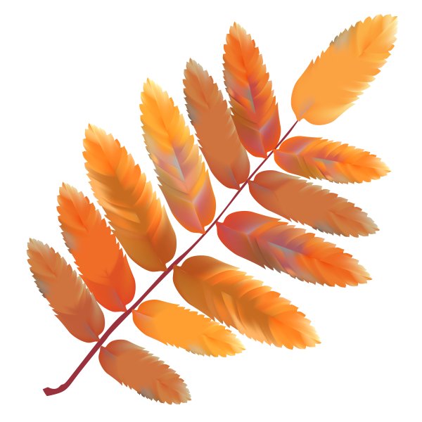 Листик рябины