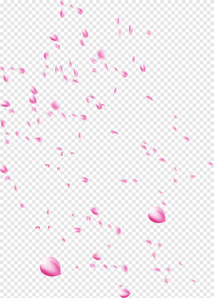 Лепесток Сакуры