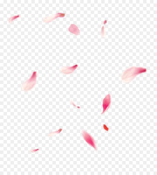 Падающие листья Сакуры