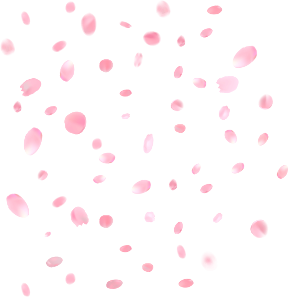 Розовые лепестки на прозрачном фоне