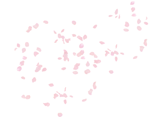 Летящие лепестки