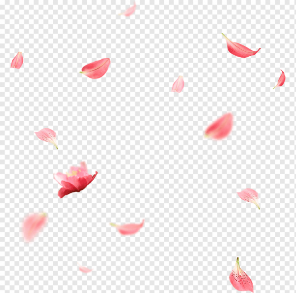 Лепесток Сакуры