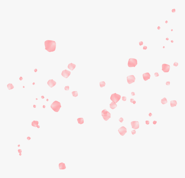 Розовые лепестки на прозрачном фоне