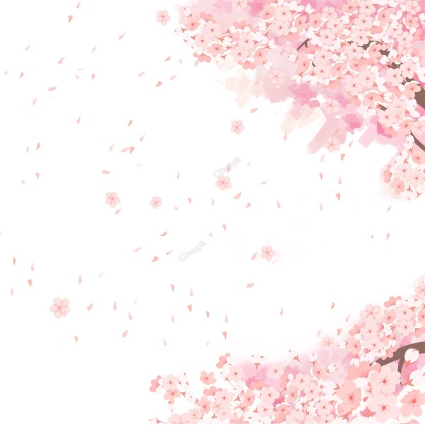 Падающие лепестки Сакуры