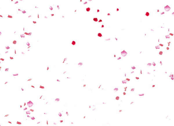 Лепесток Сакуры