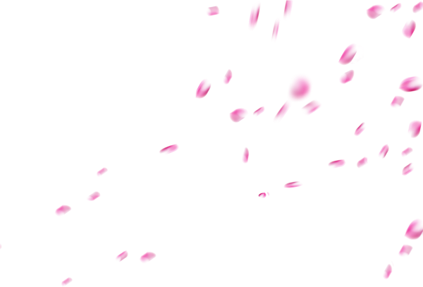 Падающие лепестки Сакуры