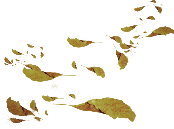 Листья летят
