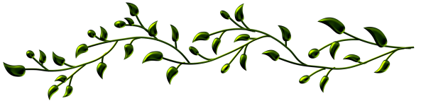 Ветка для вставки