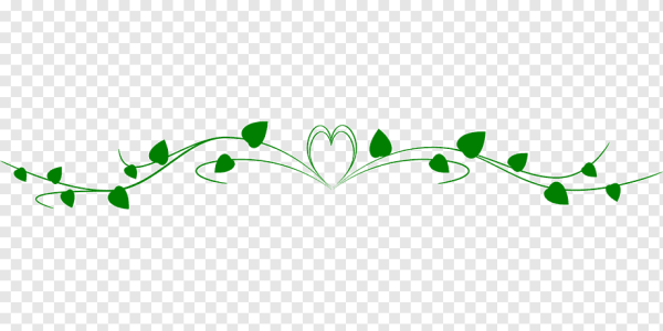 Зеленая веточка на прозрачном фоне